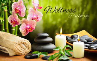 Dmind  Travels  and Tourism LLC UAE. | Wellness Packages