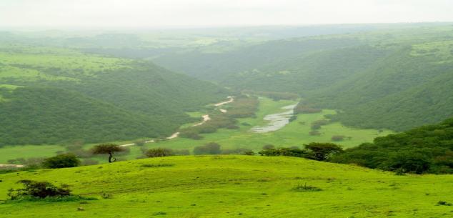 Dmind  Travels  and Tourism LLC UAE. | Enchanting Salalah